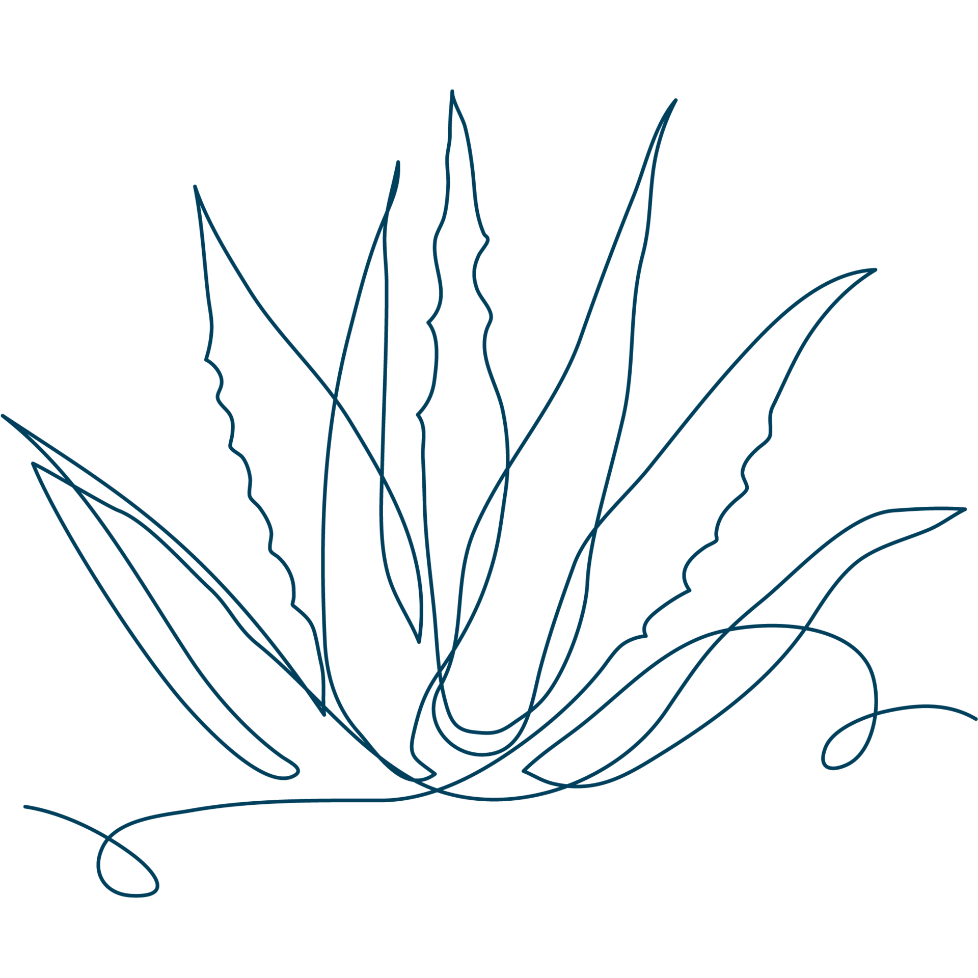 Line-Art-Zeichnung einer Aloe-Pflanze. Die Sixtus-Produkte beinhalten u. a. Aloe.