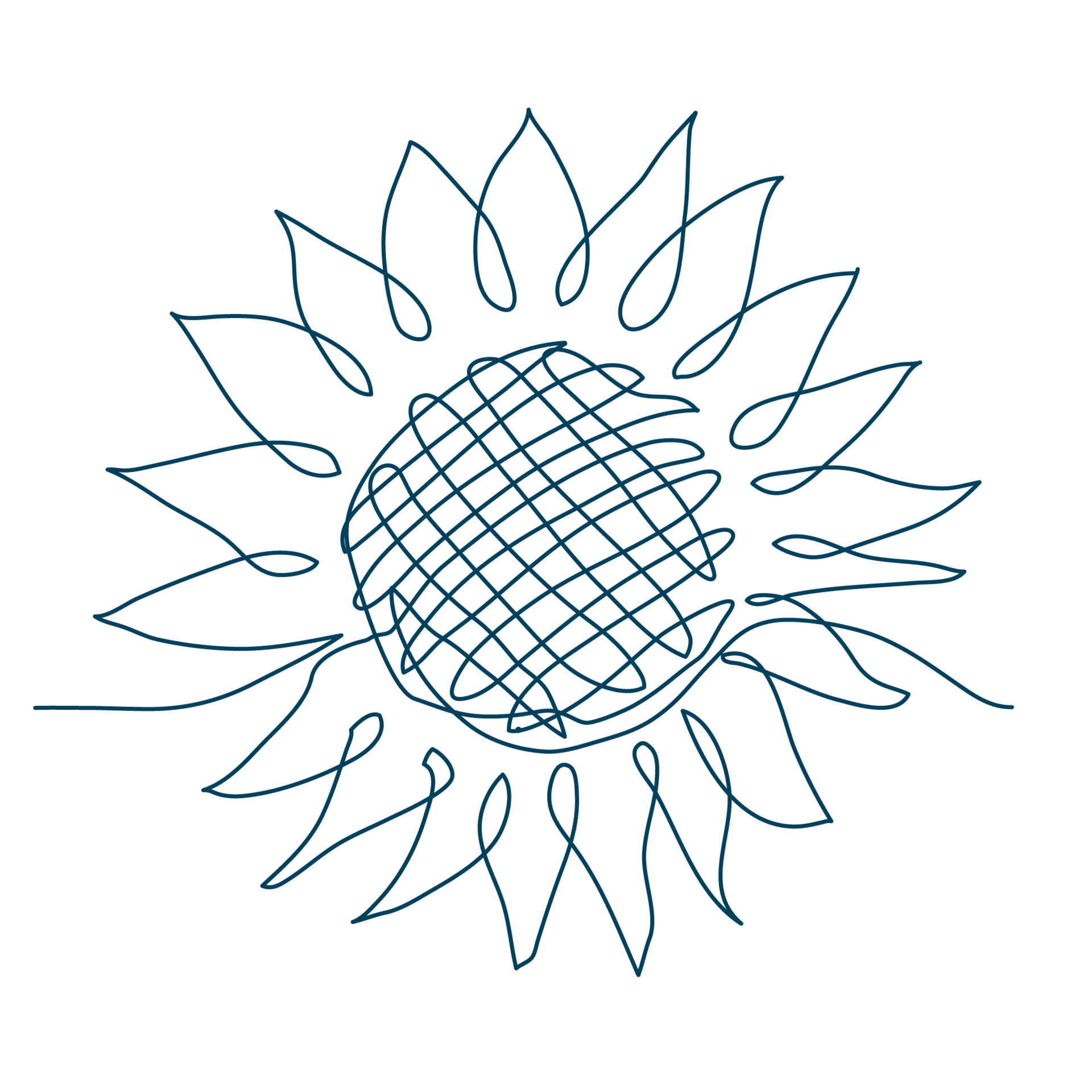Line-Art-Zeichnung der Blüte einer Sonnenblume. Die Sixtus-Heilkräuter beinhalten u. a. Sonnenblume.