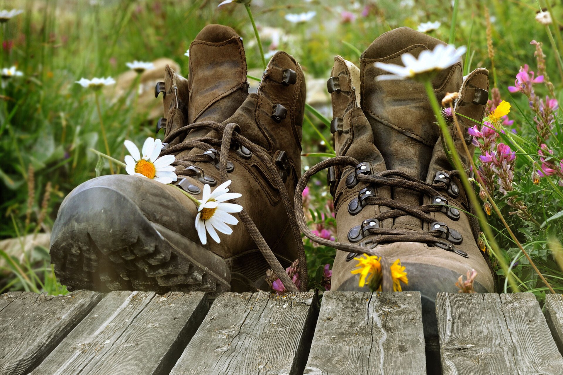 Schuhe trocknen lassen wie hier im Gras ist ein gutes Mittel gegen Schweißfüße.