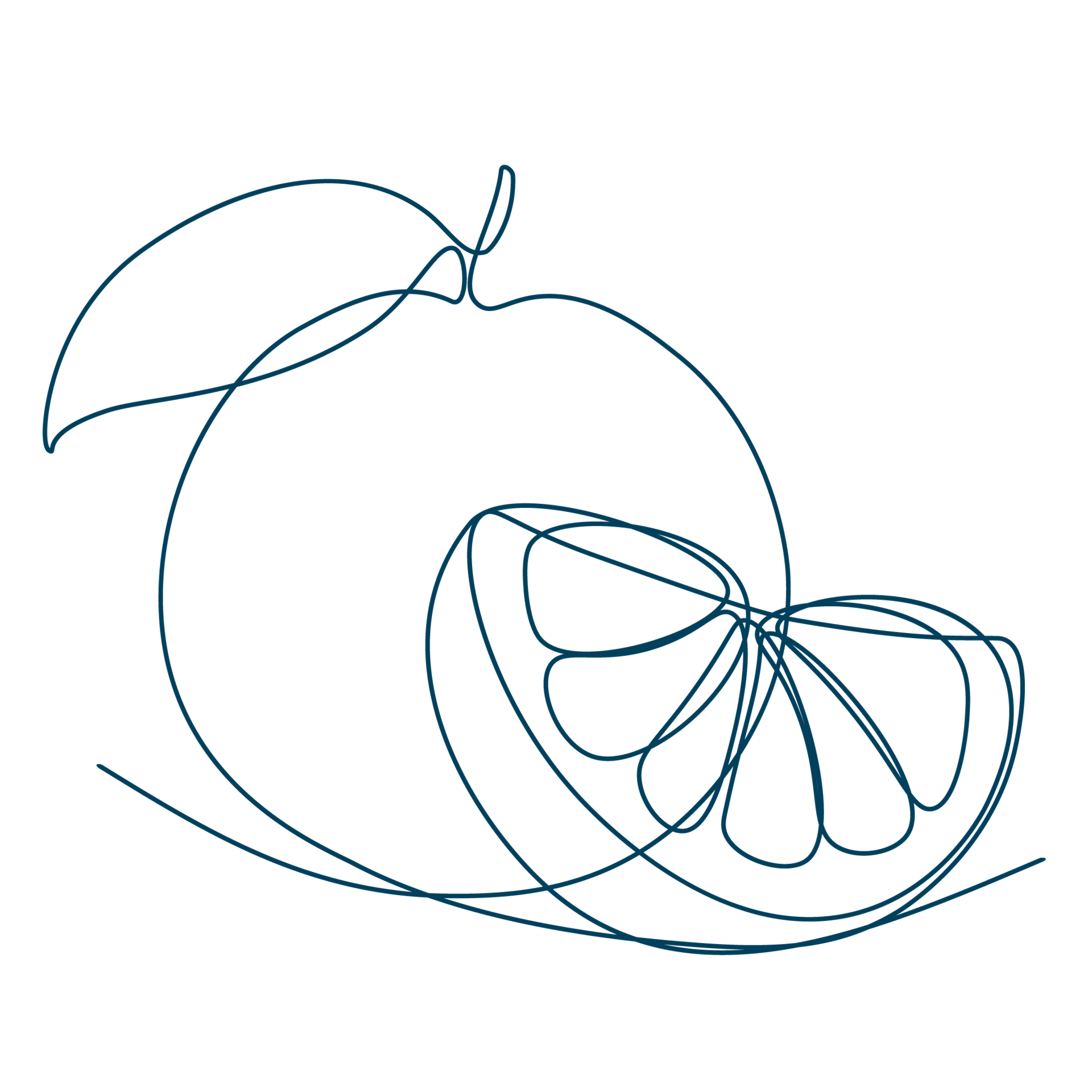 Line-Art-Zeichnung einer Orange. Die Sixtus-Produkte beinhalten u. a. Orange.